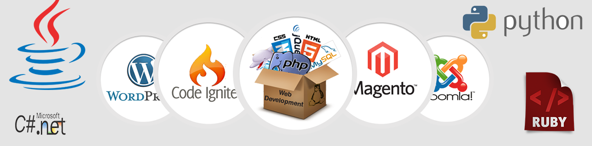 Top Software Development Company, App Development Company